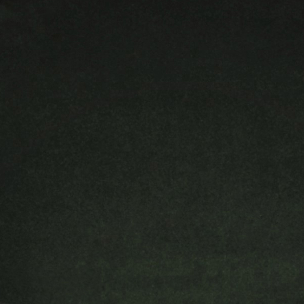 Dark Green Velvet [+$10.00]